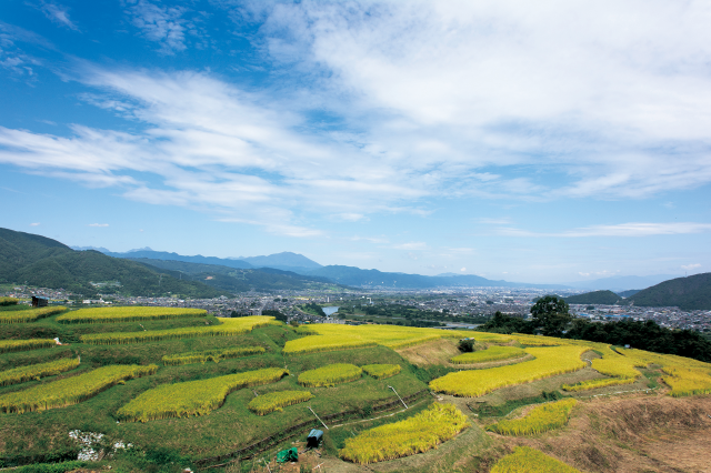 千曲市_姨捨の棚田